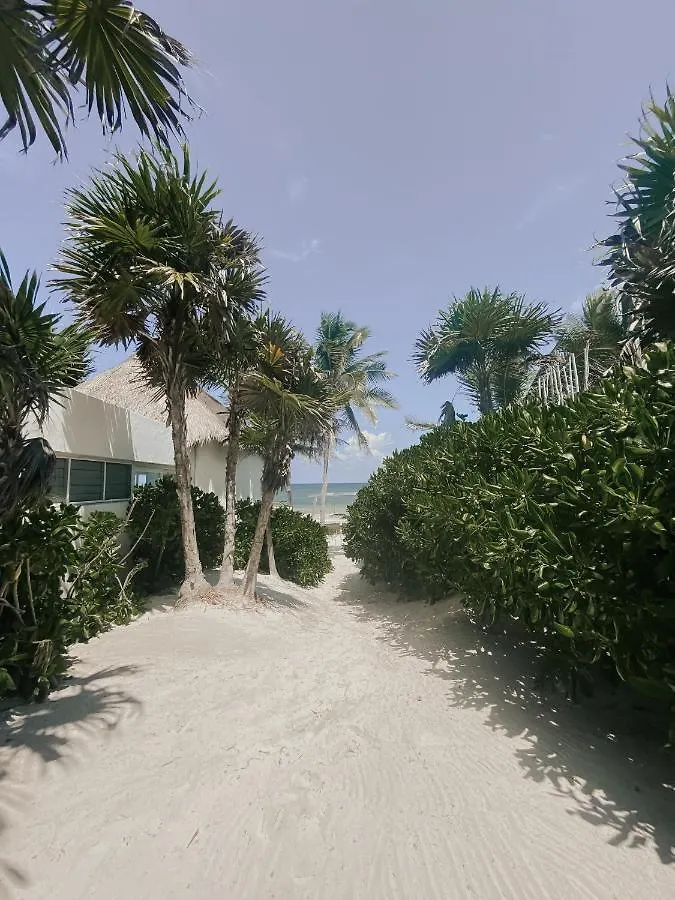 Hotel Tuup Tulum